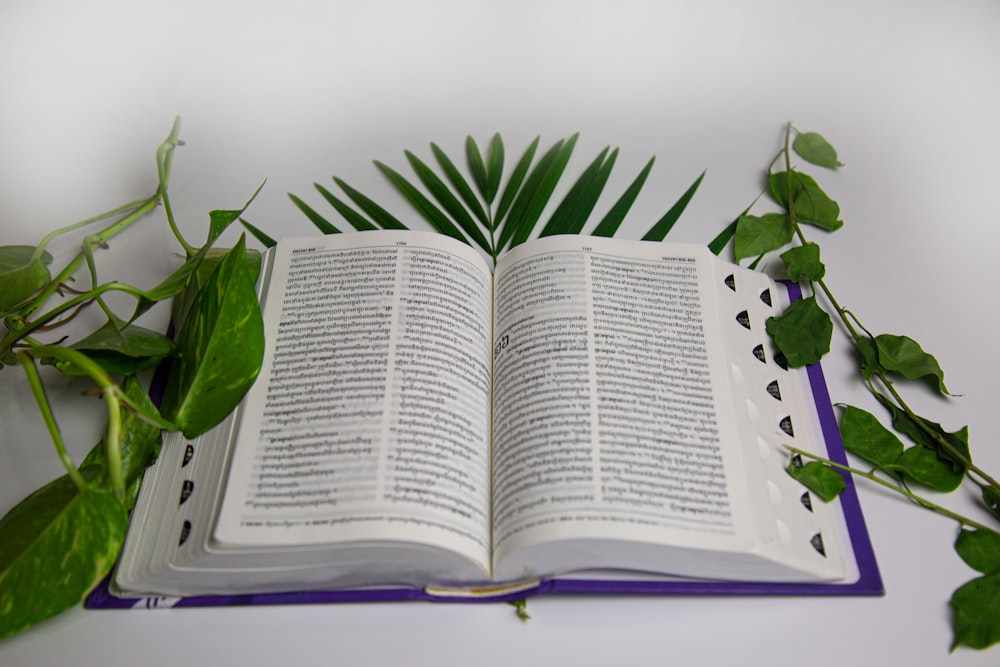 an open book on a table