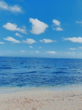 Calm beach scene with soft wheat fields under a clear sky.