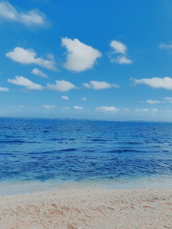 Calm beach scene with soft wheat fields under a clear sky.