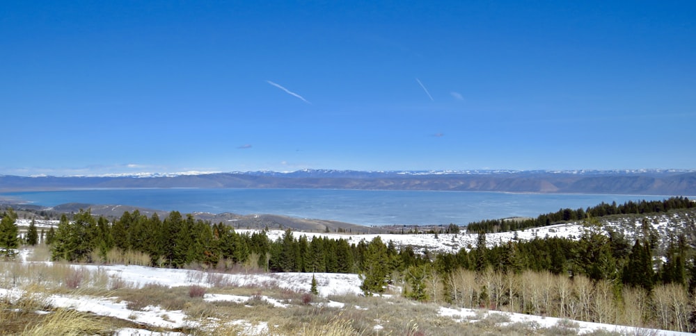 a landscape with snow and trees