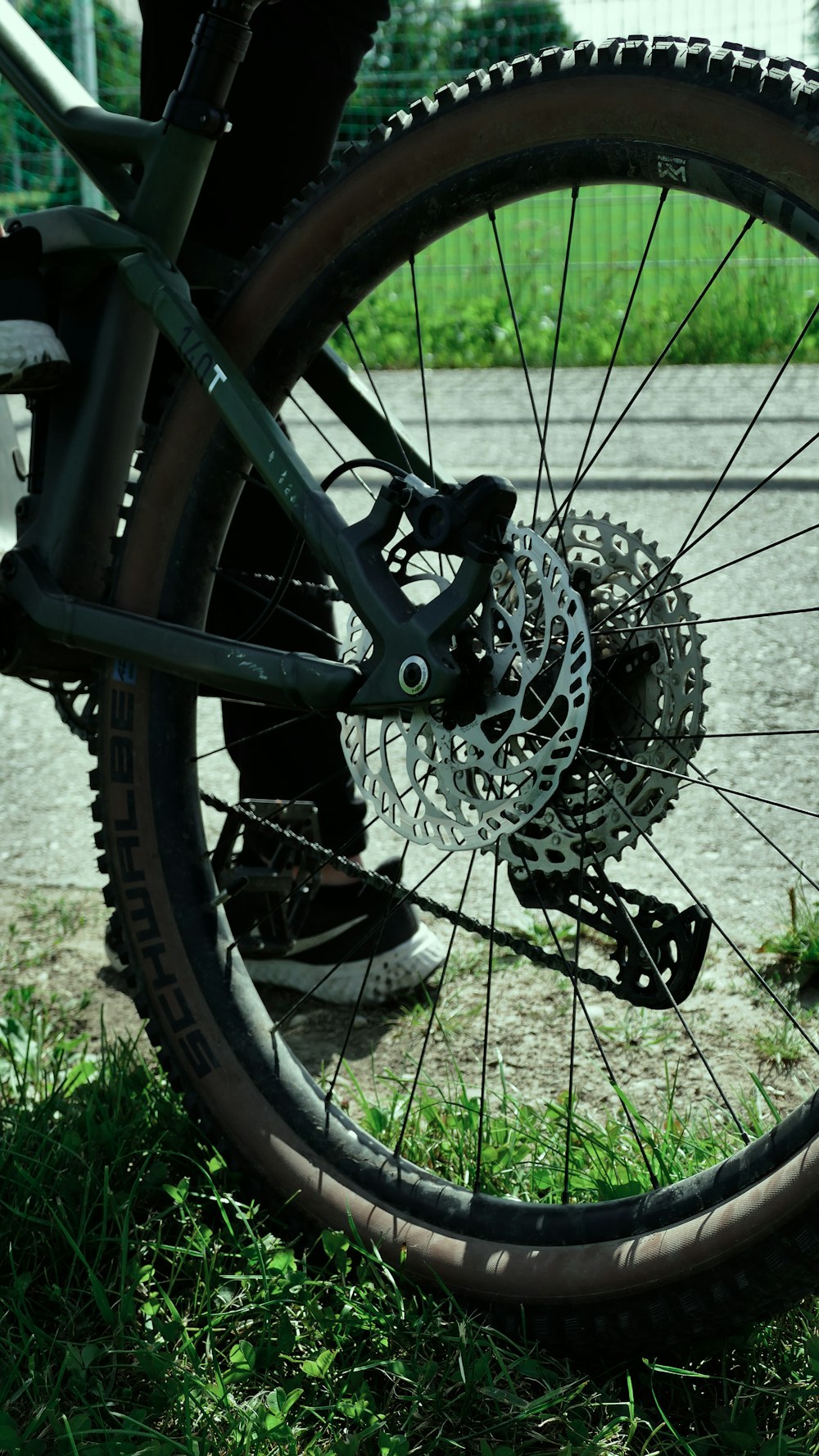 a pair of bicycle tires