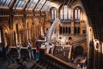 Hintze Hall staircase inside the Natural History Museum, London