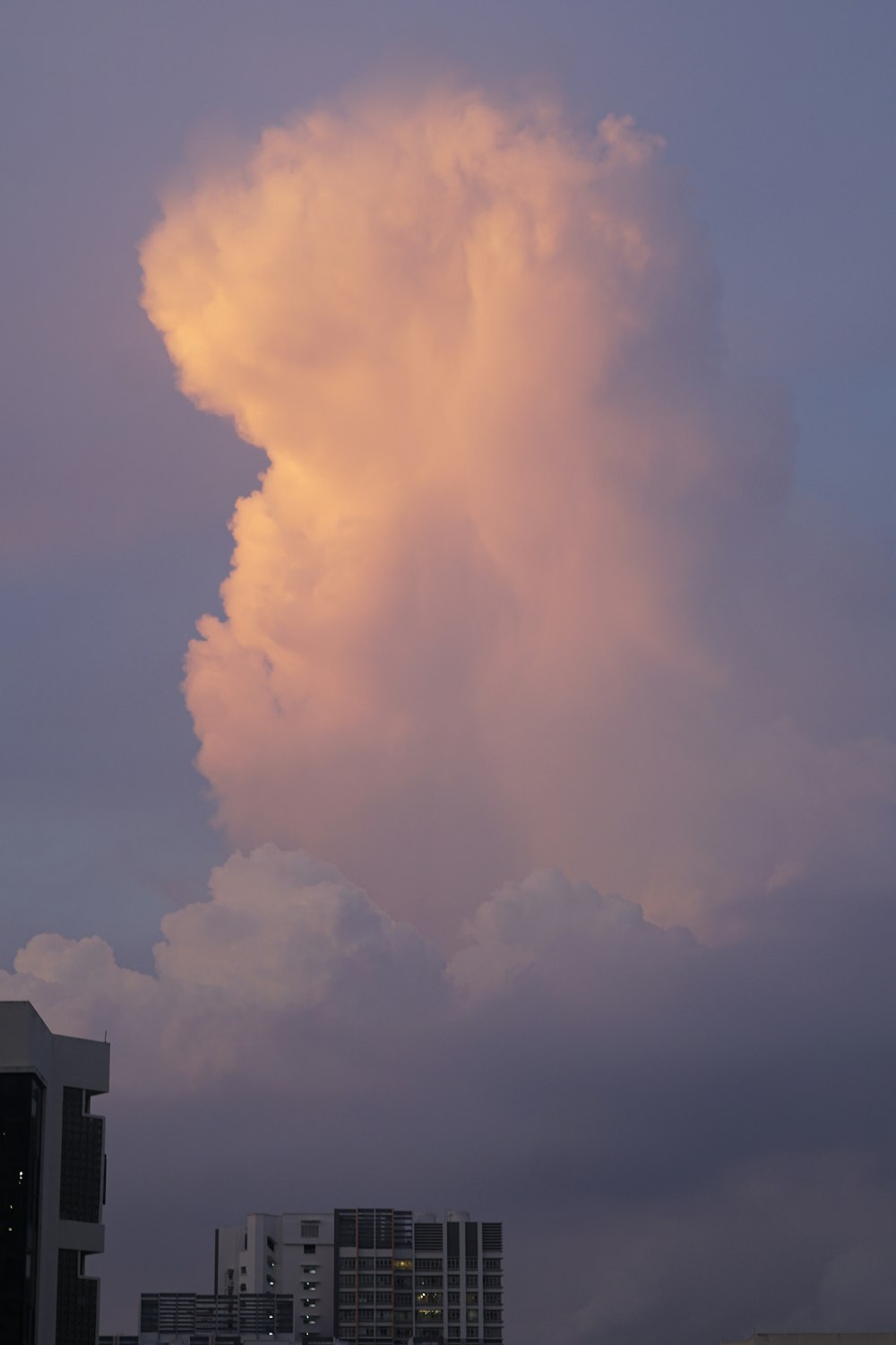 a pink and blue sky above buildings