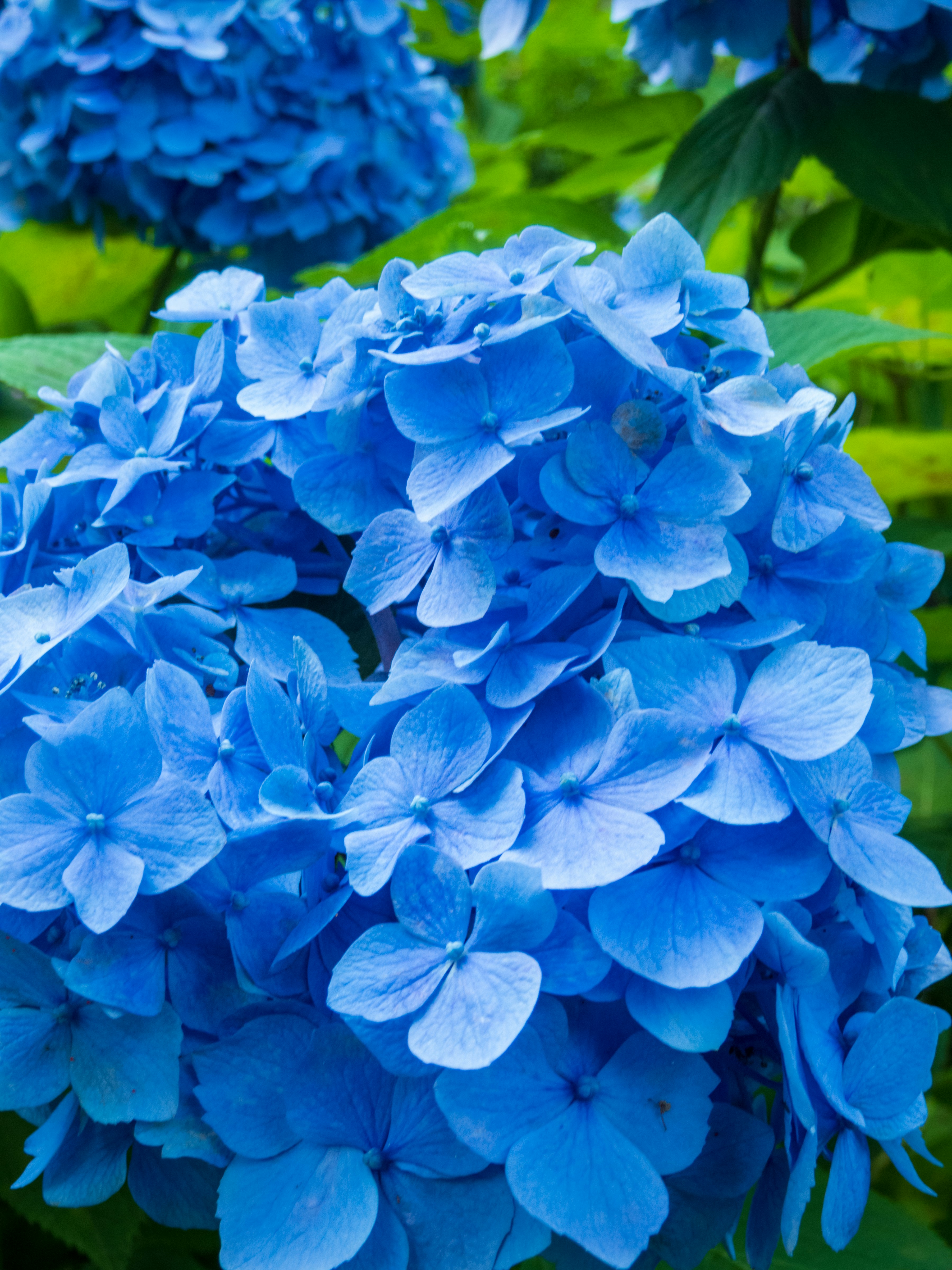 Photo by heppoko_yama