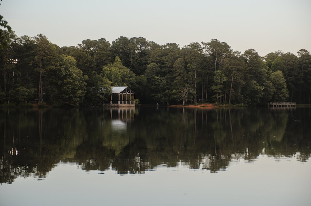 a house on a lake surrounded by trees