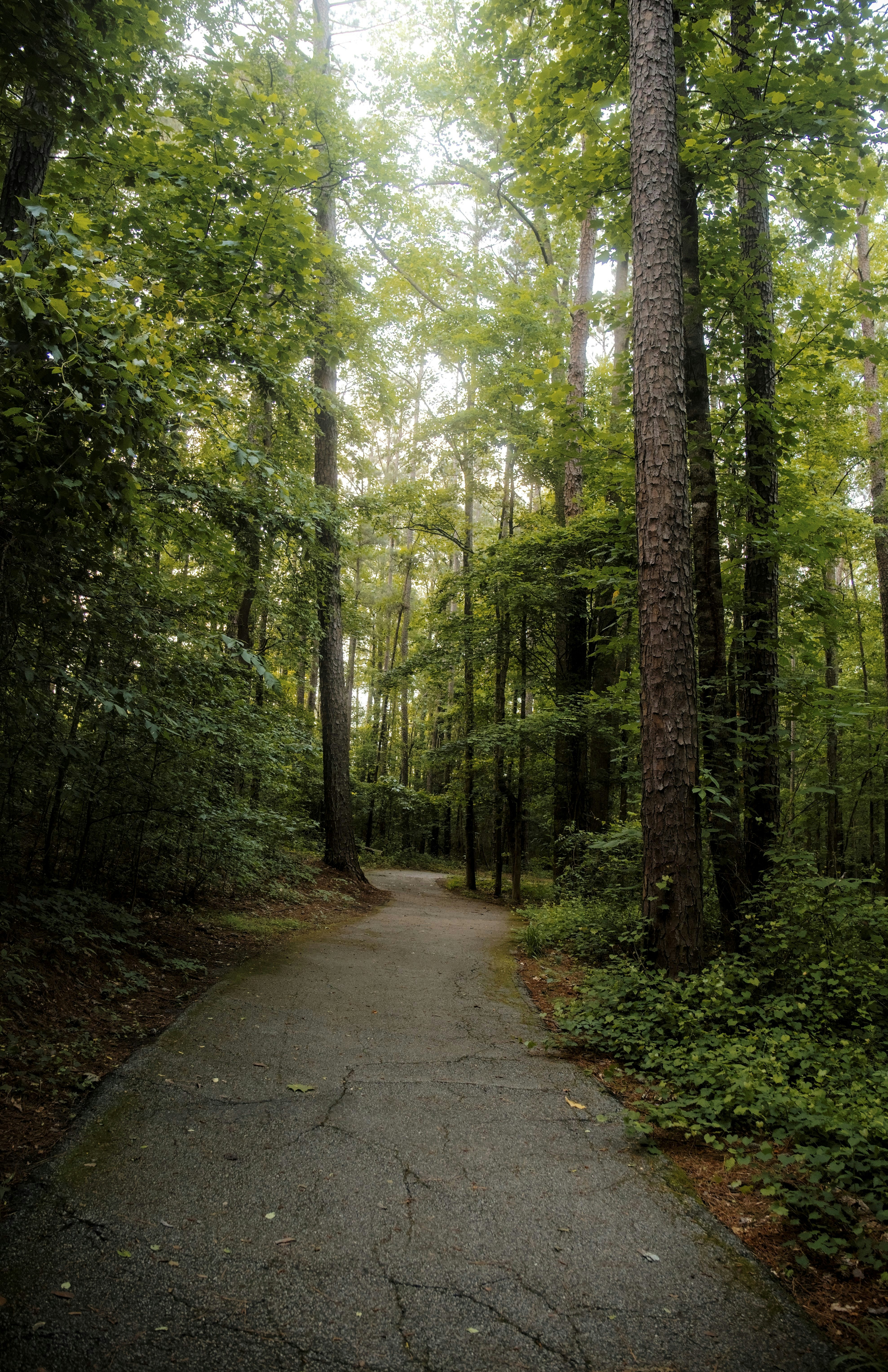 Photo by btcarpenter