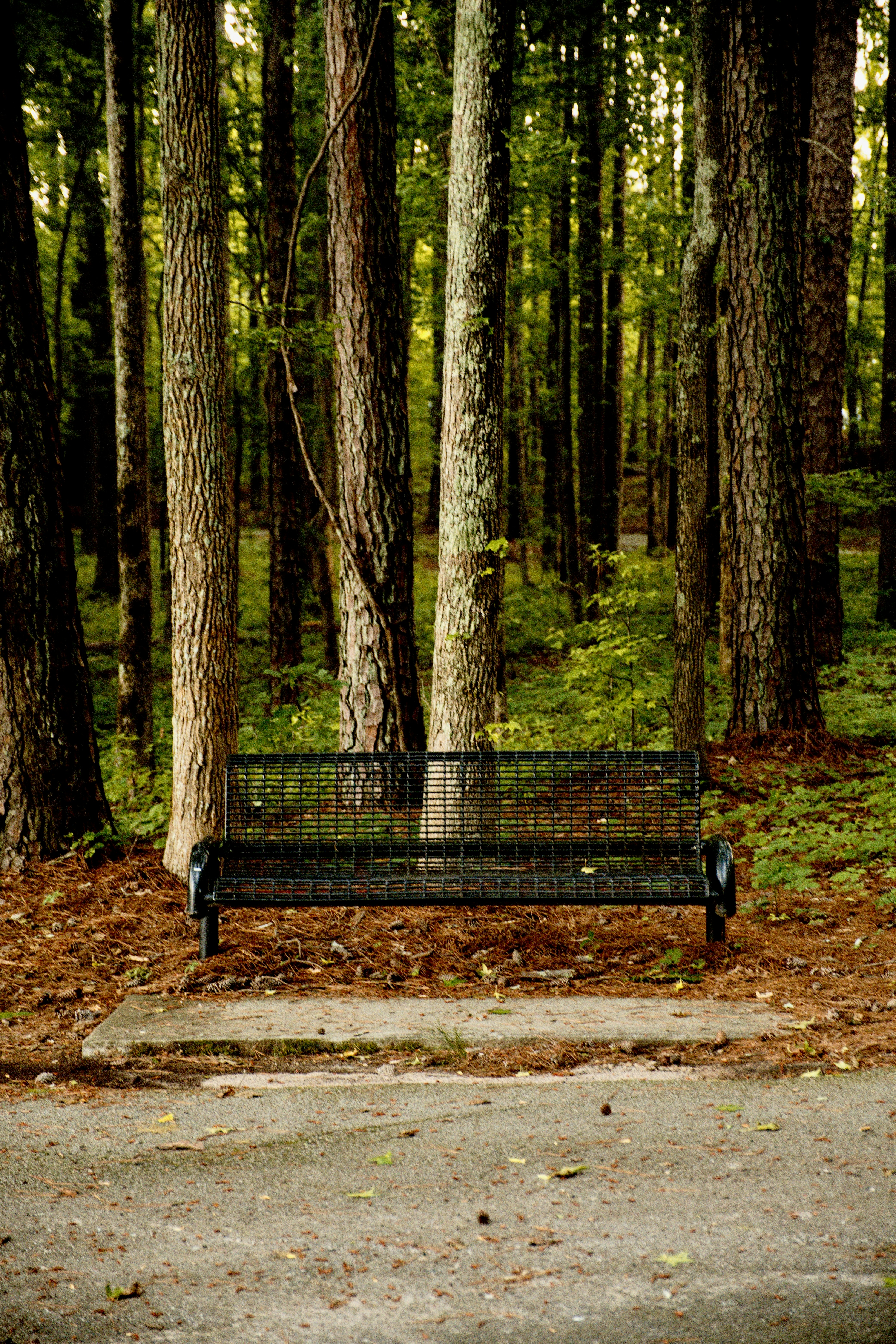 Photo by btcarpenter