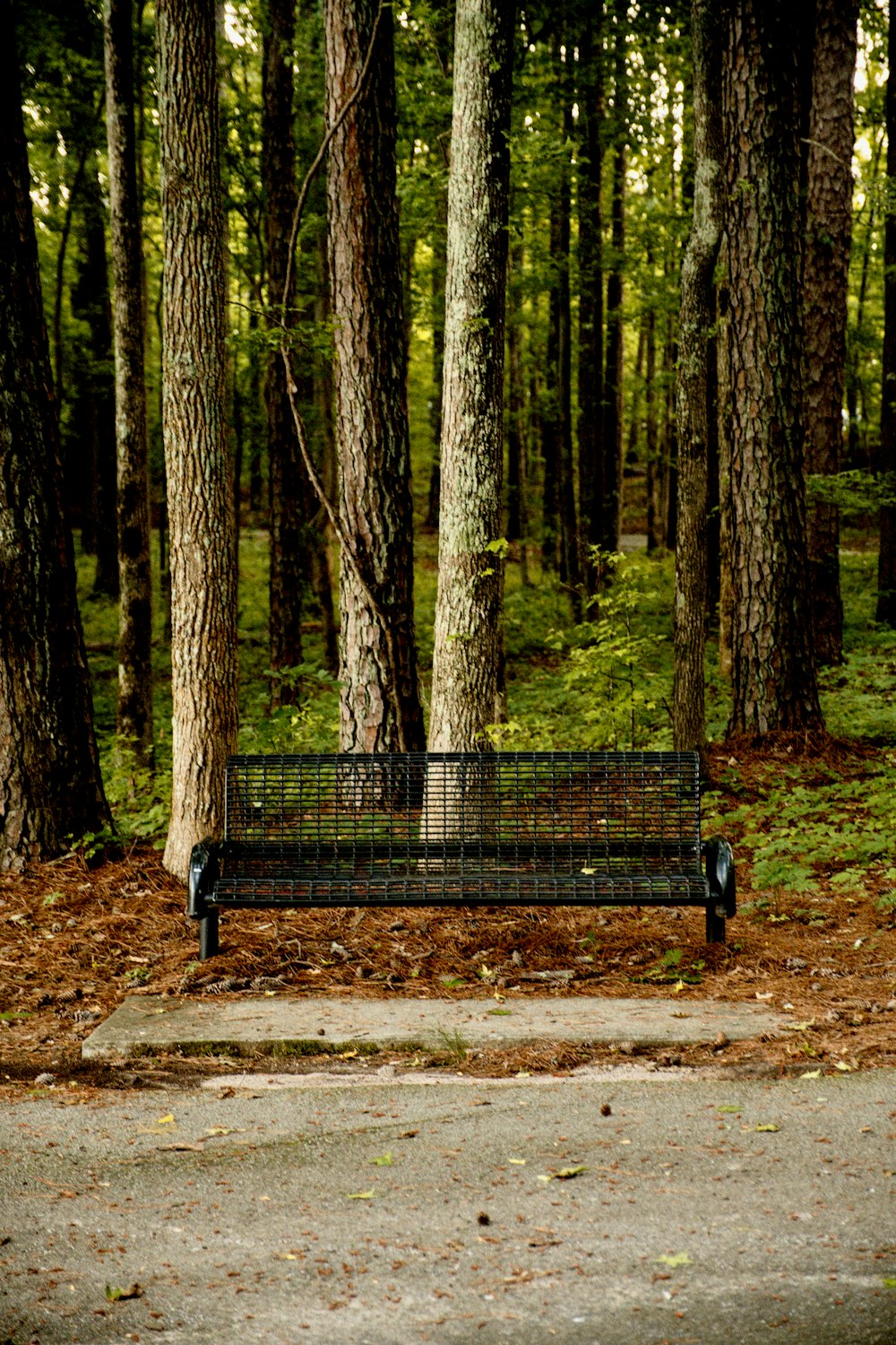 Un banc dans un parc