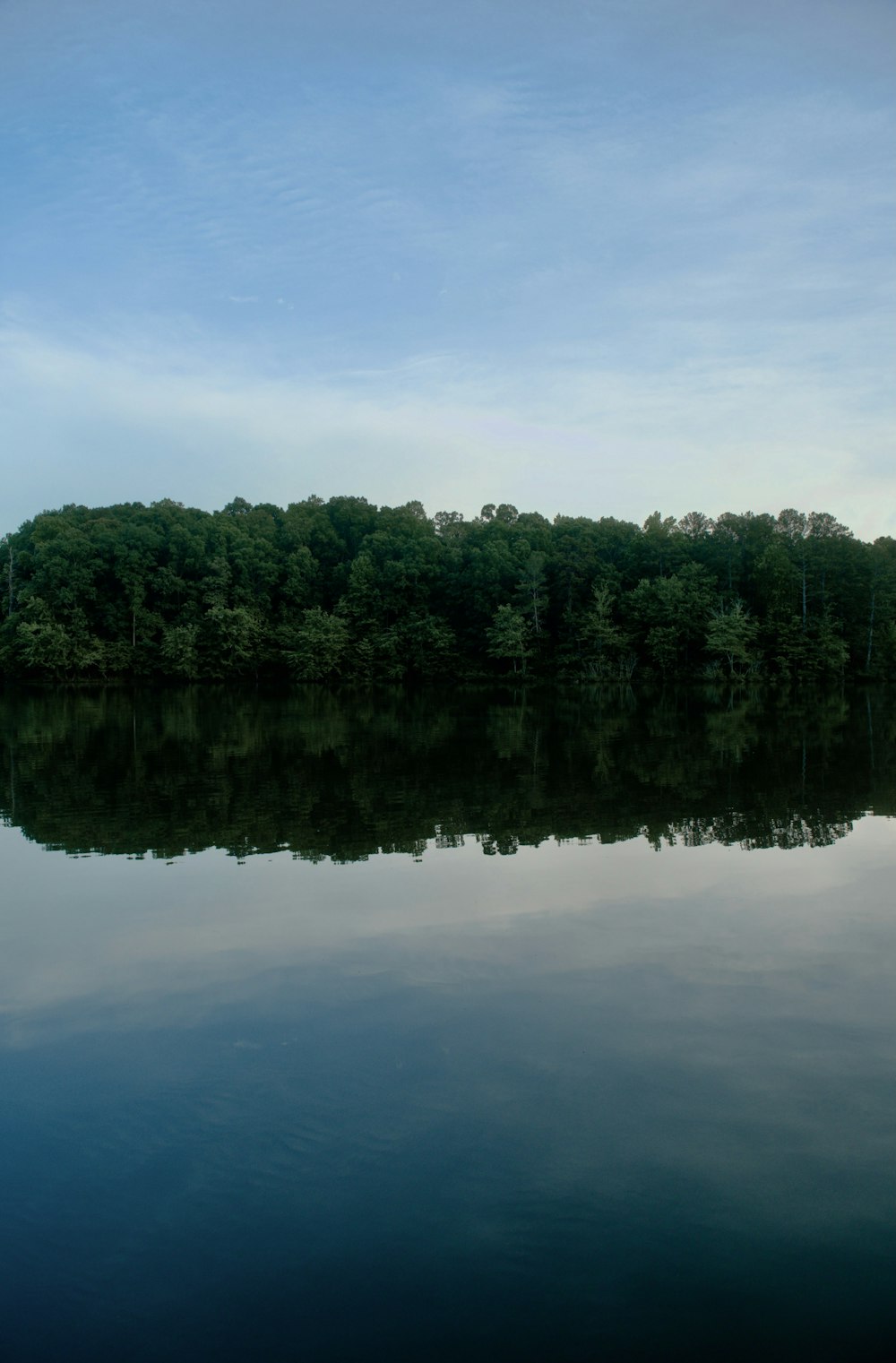 a body of water with trees around it