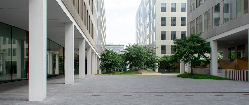 a courtyard between buildings