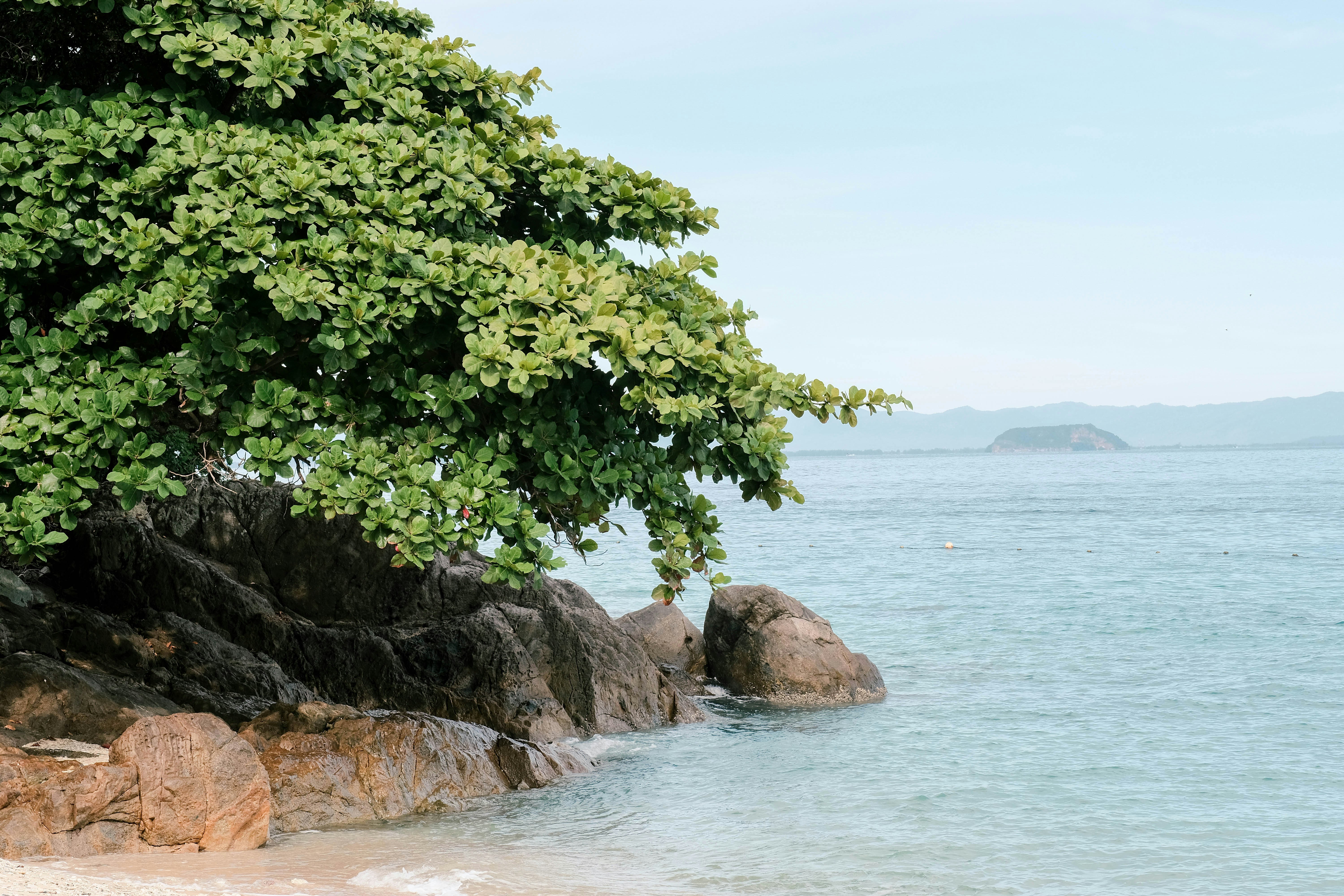 Photo by amirulmooez