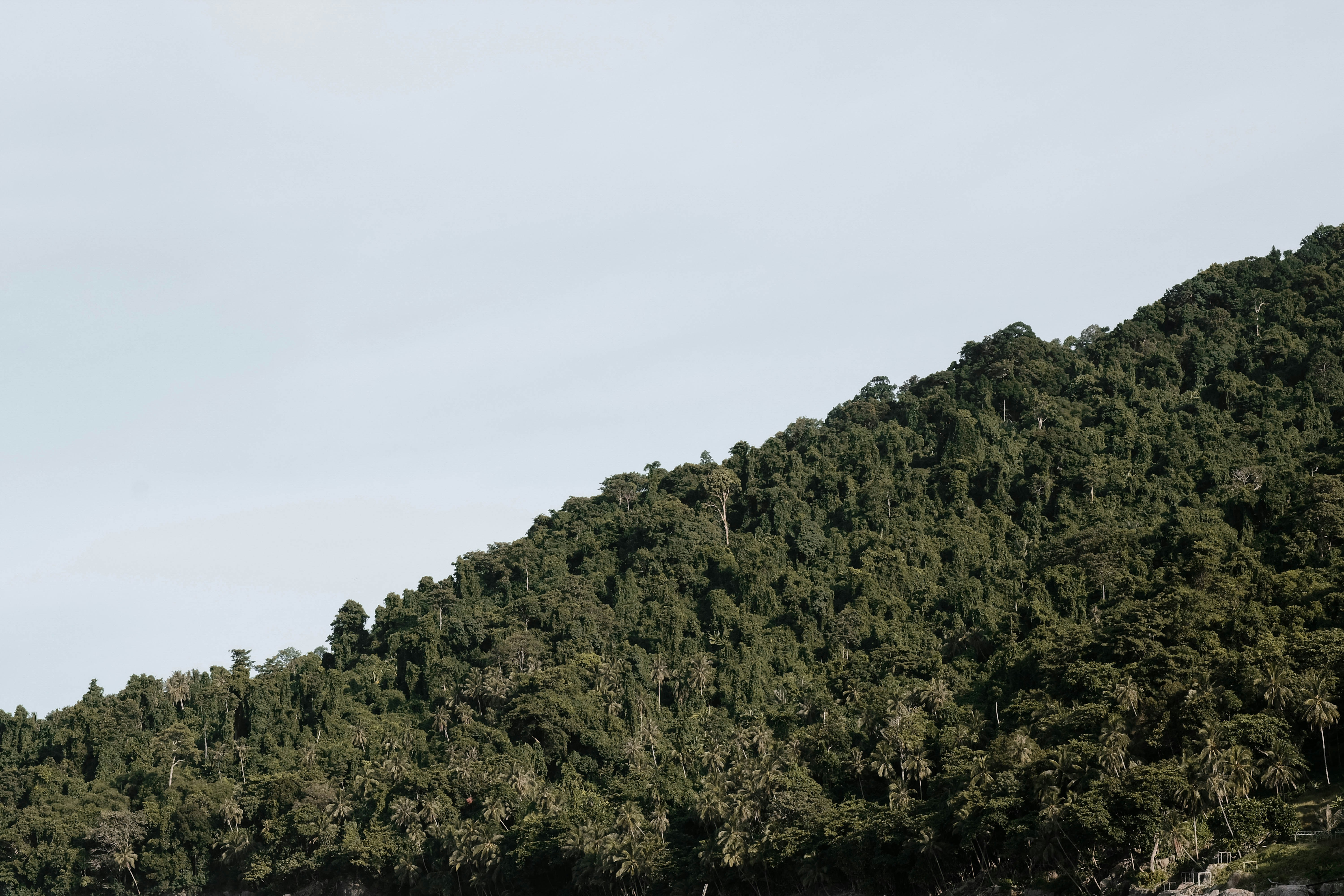 Photo by amirulmooez