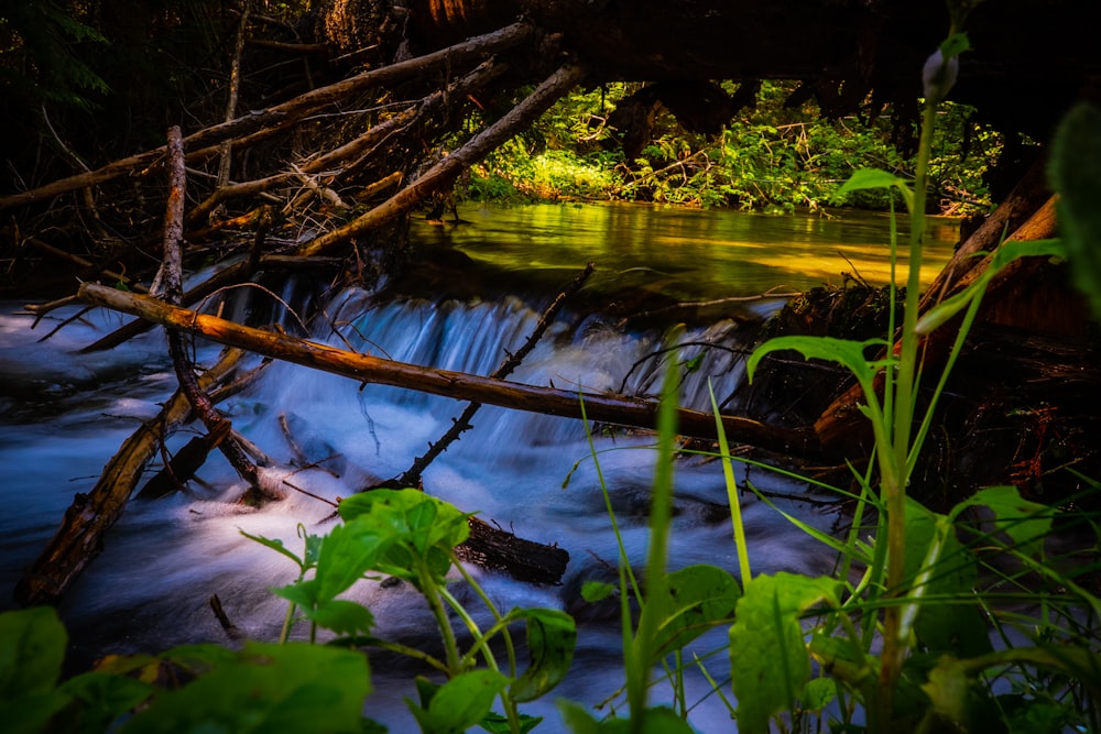 a small stream with a waterfall