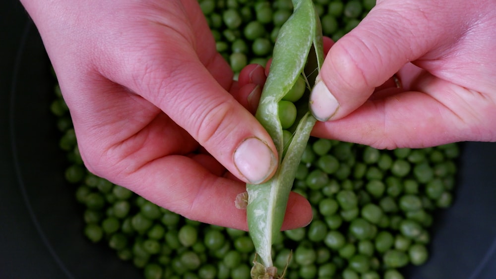 a person holding a green snake