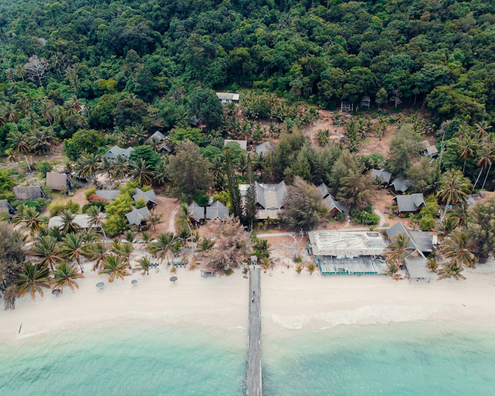 a beach with houses and trees