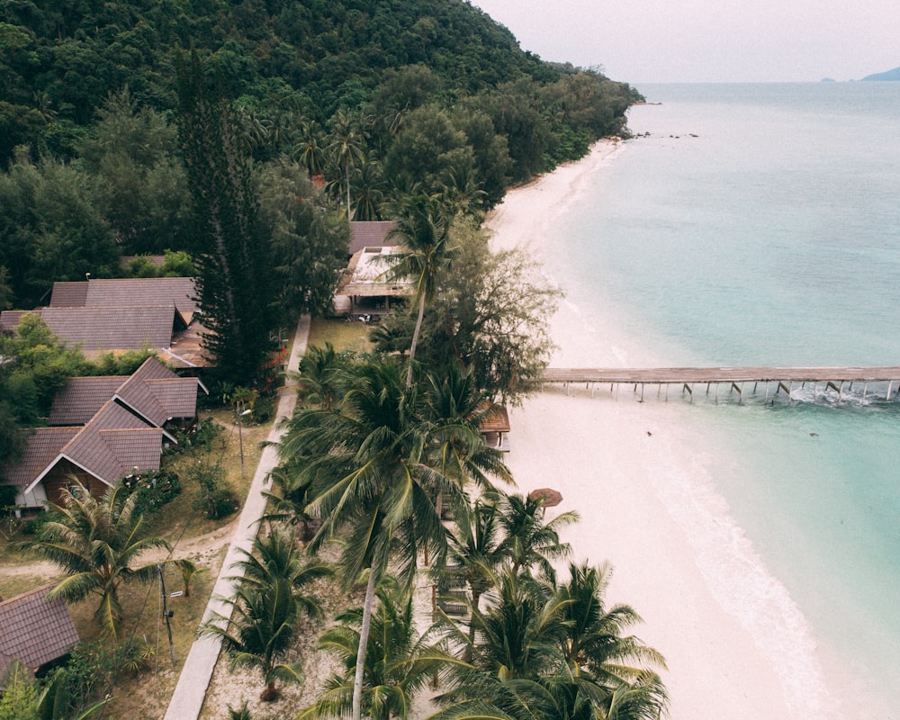 a beach with houses and trees