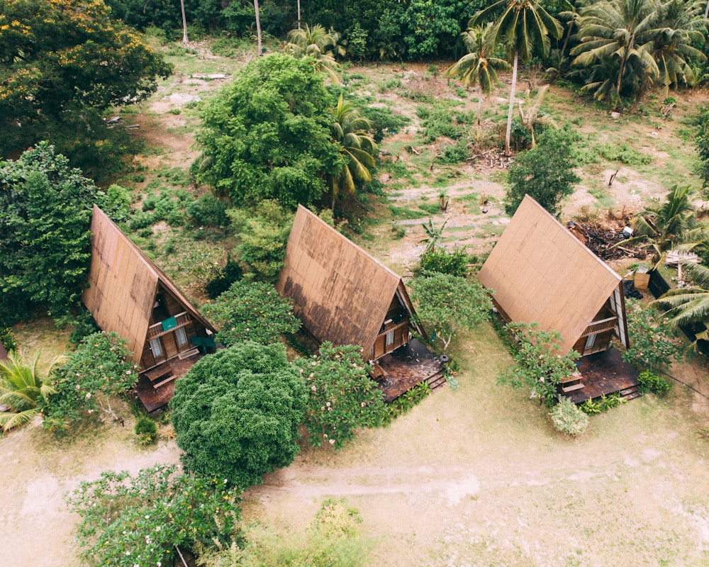 a couple of huts sitting in the middle of a forest