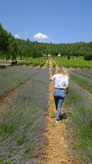 Travel Aix en Provence