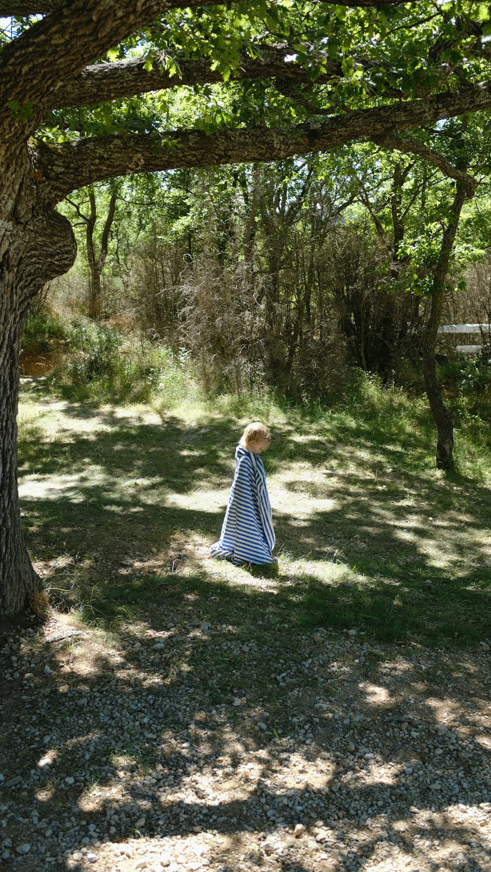 a woman in a blue and white dress walking through a forest