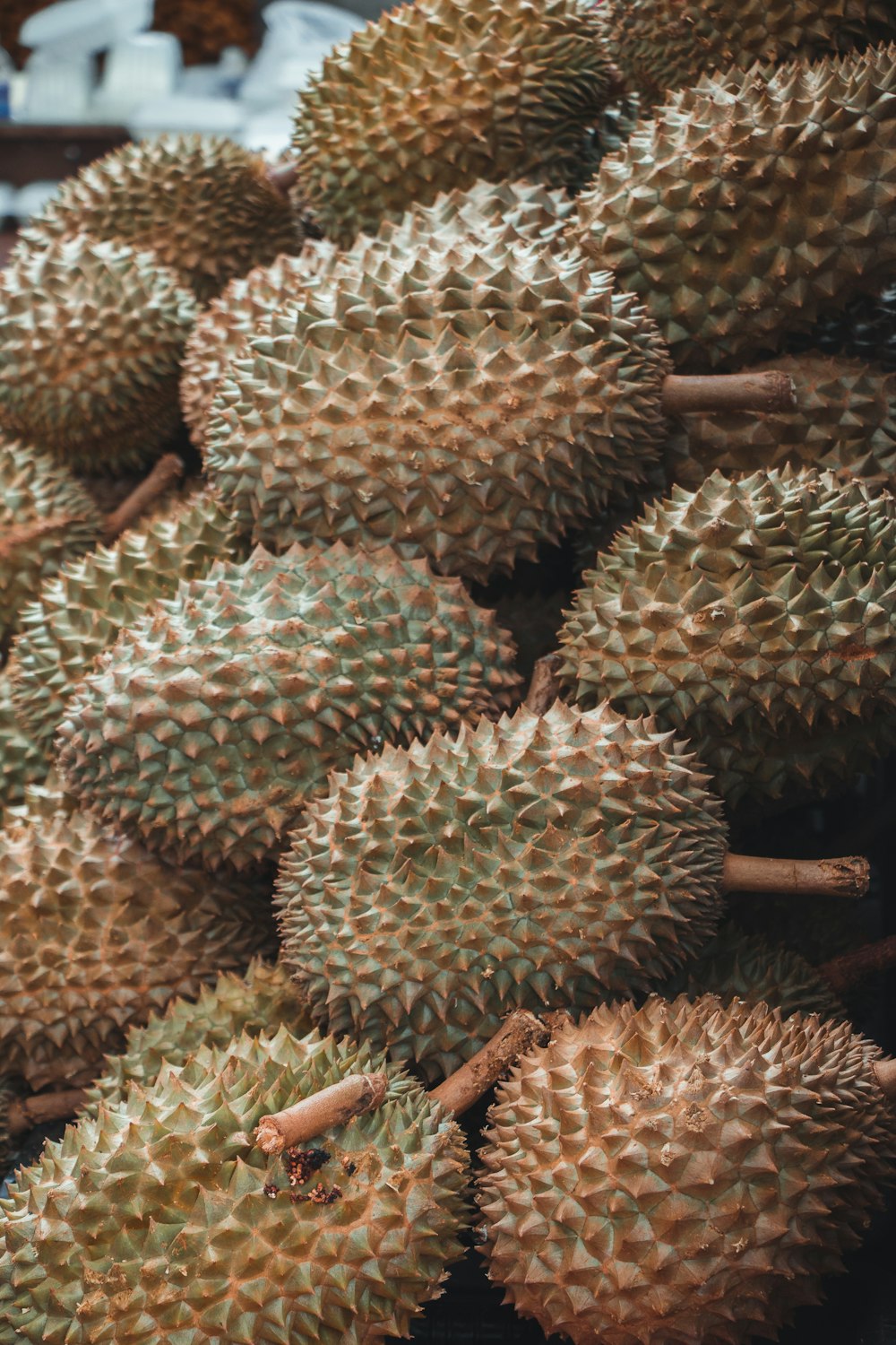 a group of round brown objects