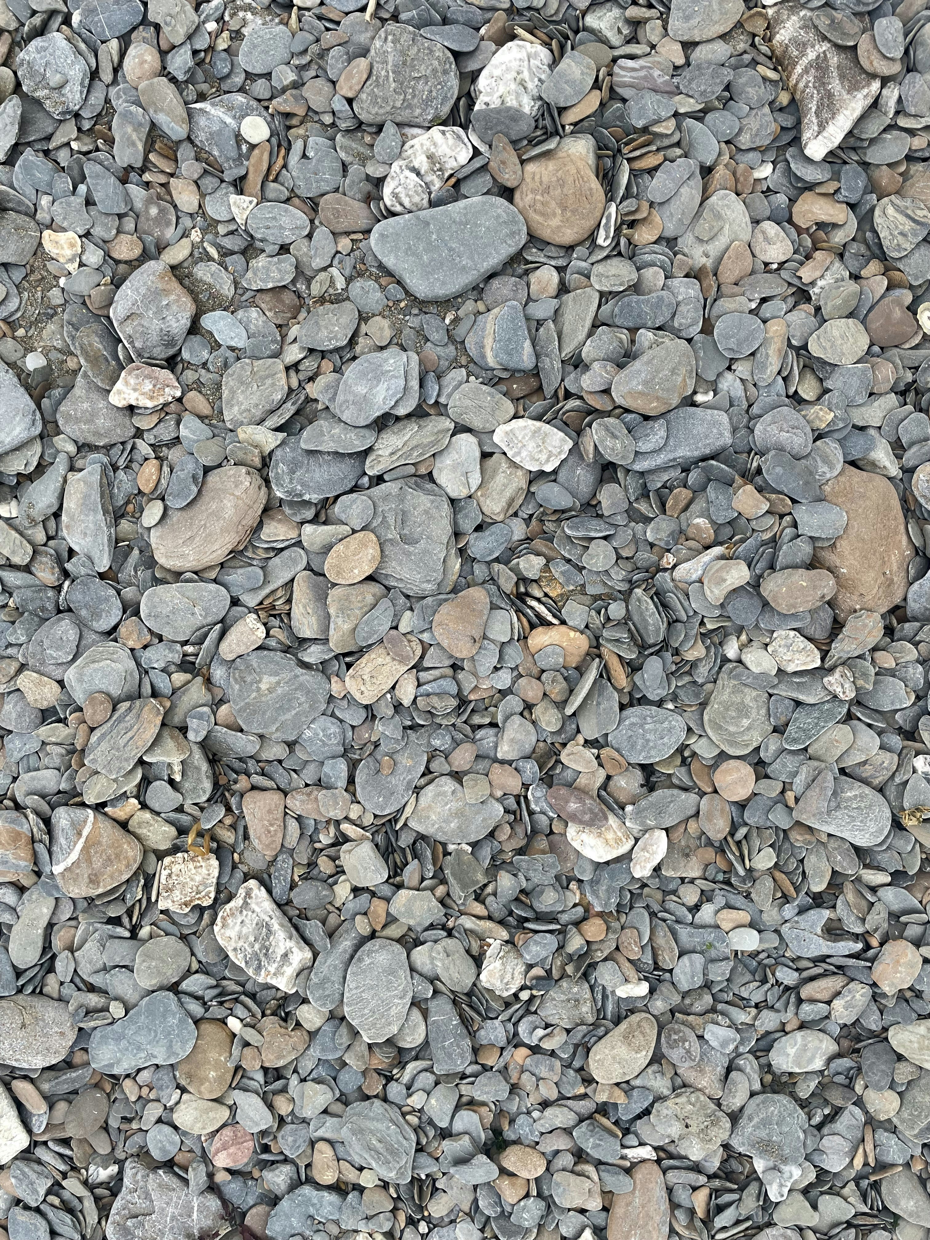 Photo by mrjosereyes