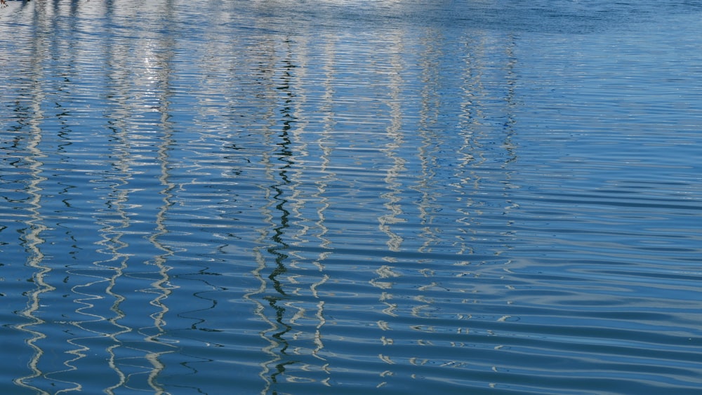 a body of water with ripples