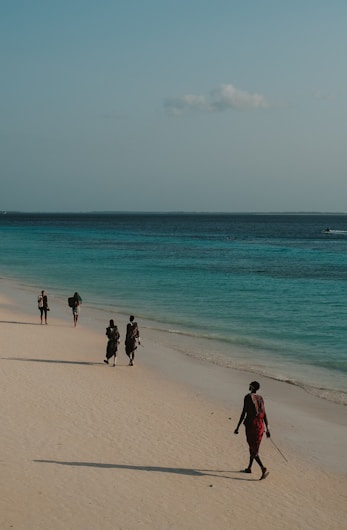 people walking on a beach