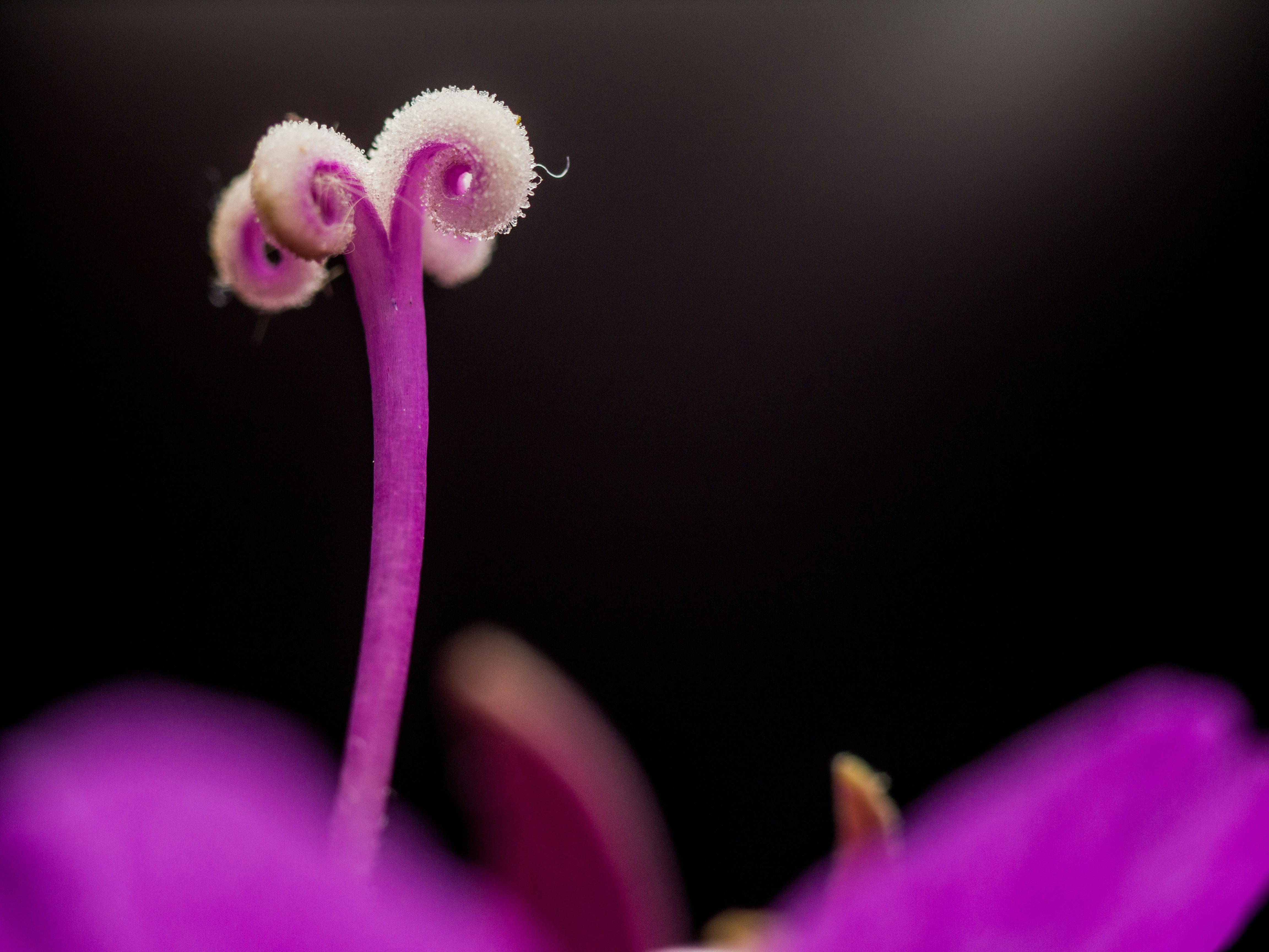 Photo by profilermanes