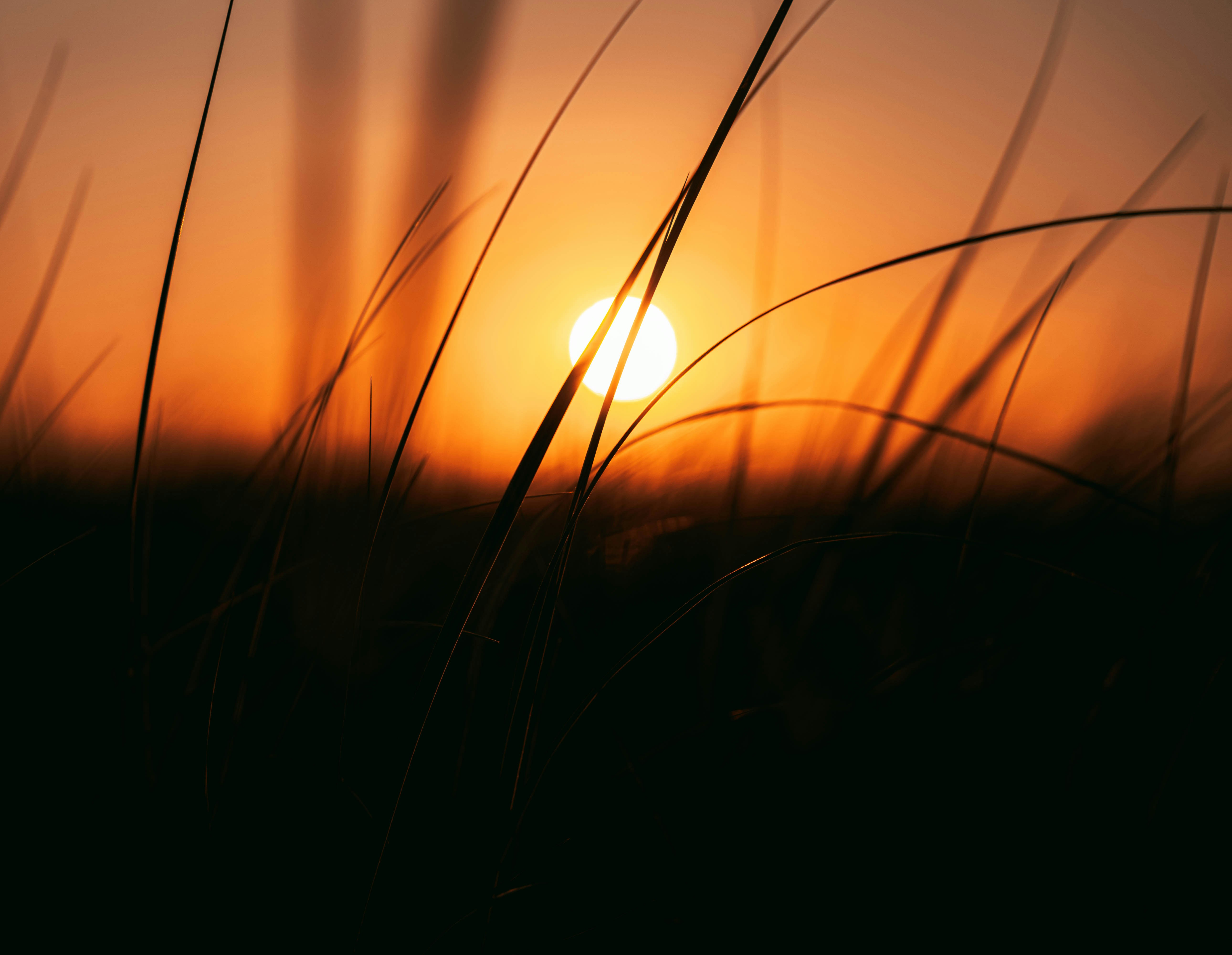 Photo by stevosdisposable