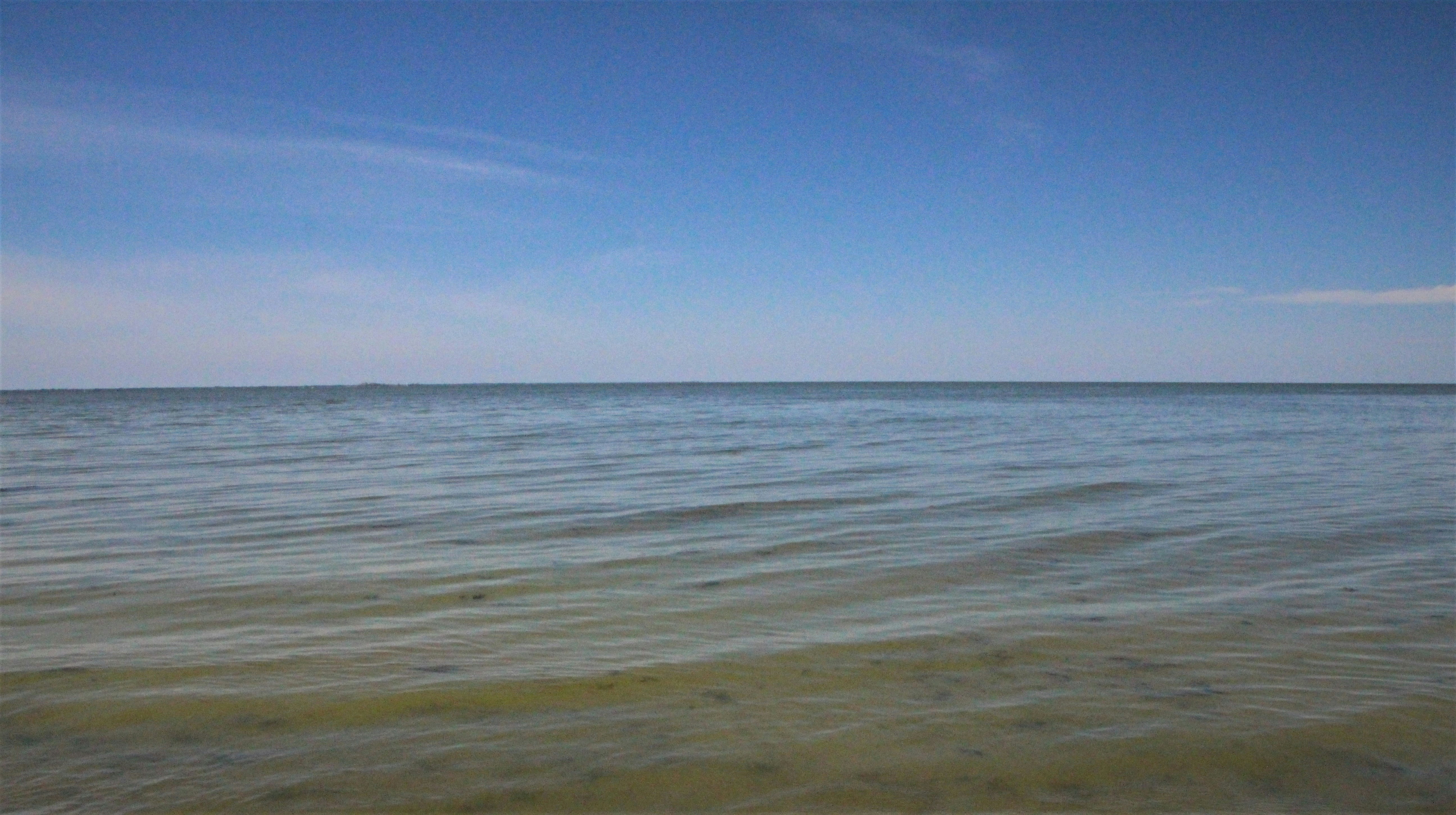 Photo by bridjett_renae_photography