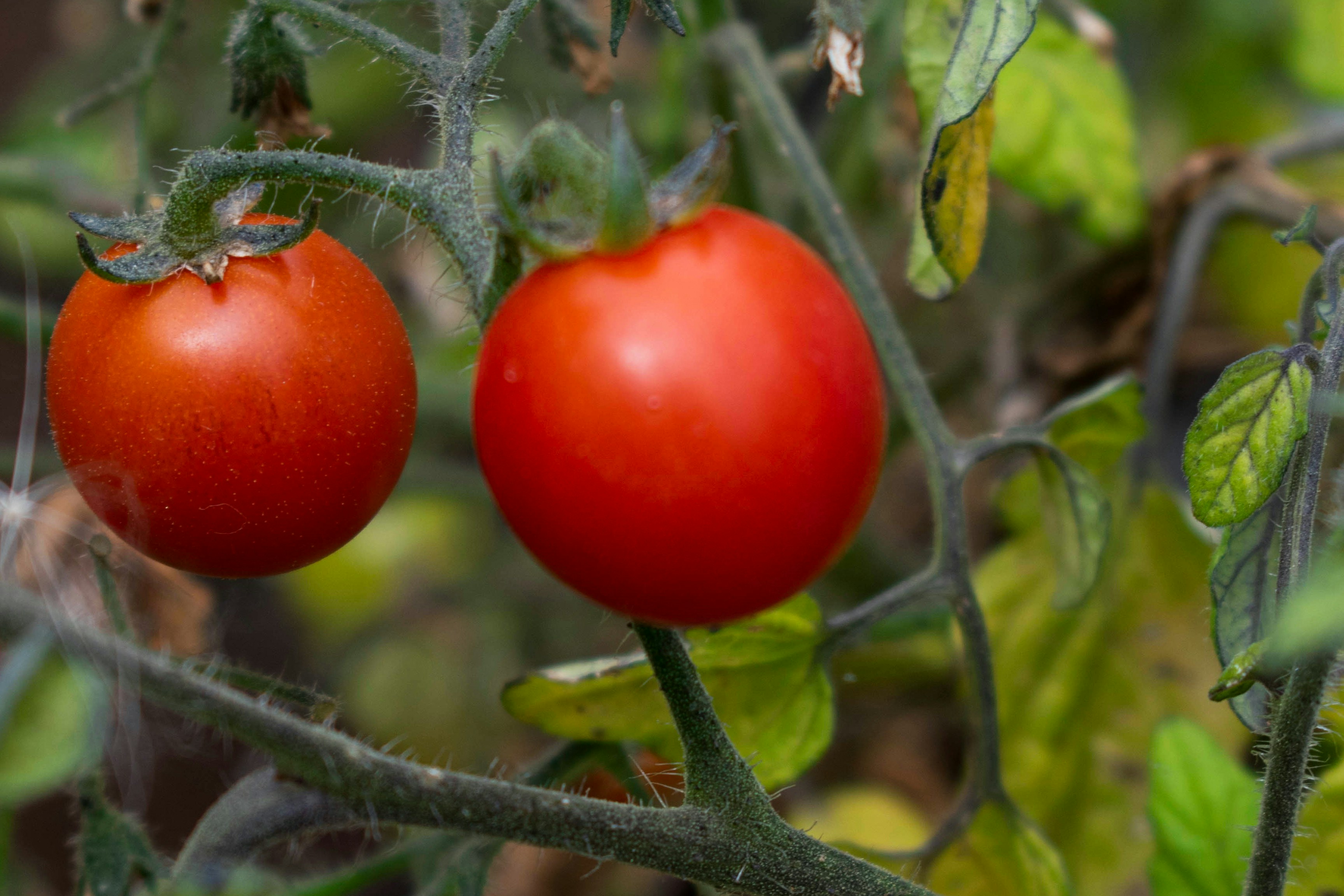 Photo by infinitecreations21