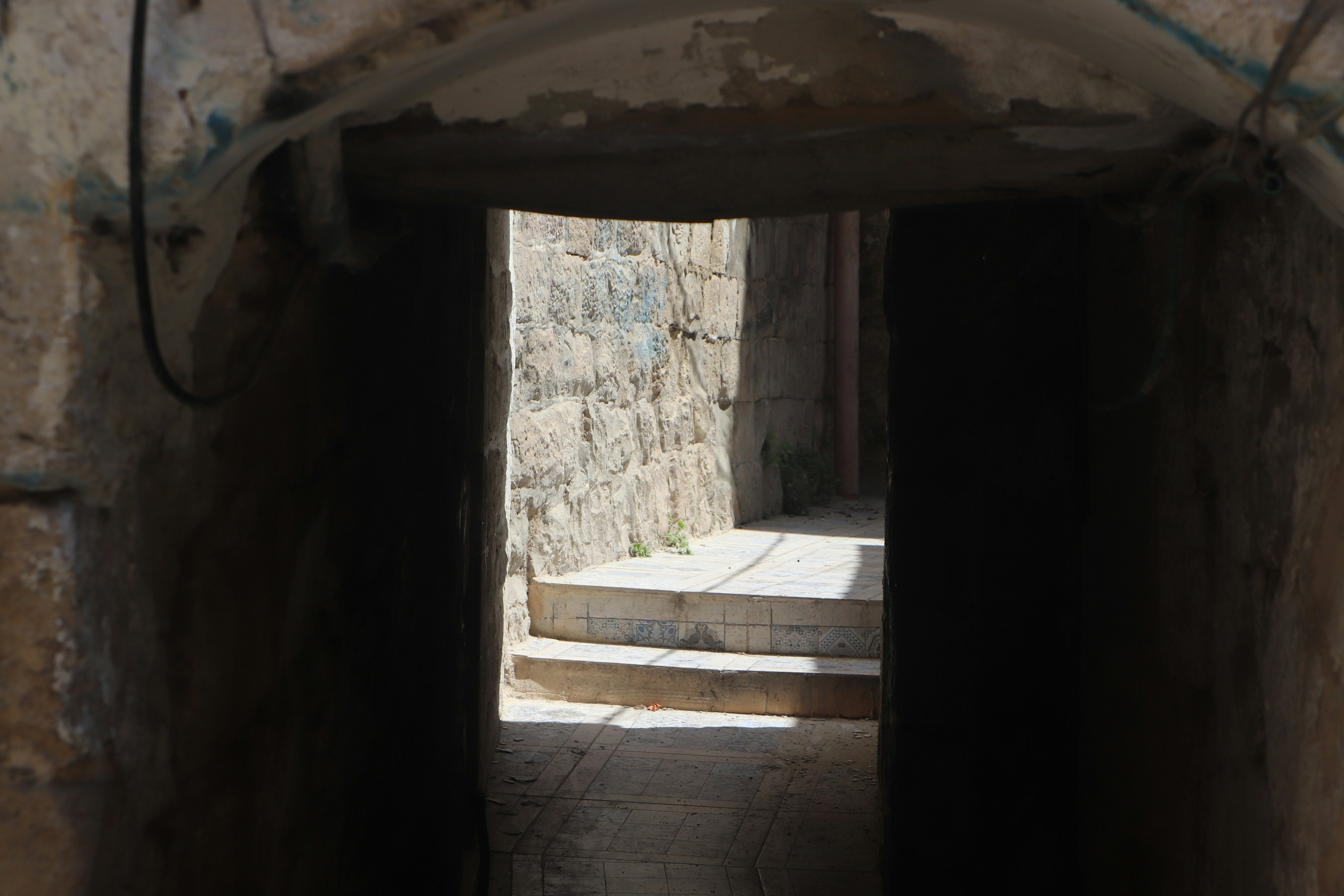 Photo by vision_photography