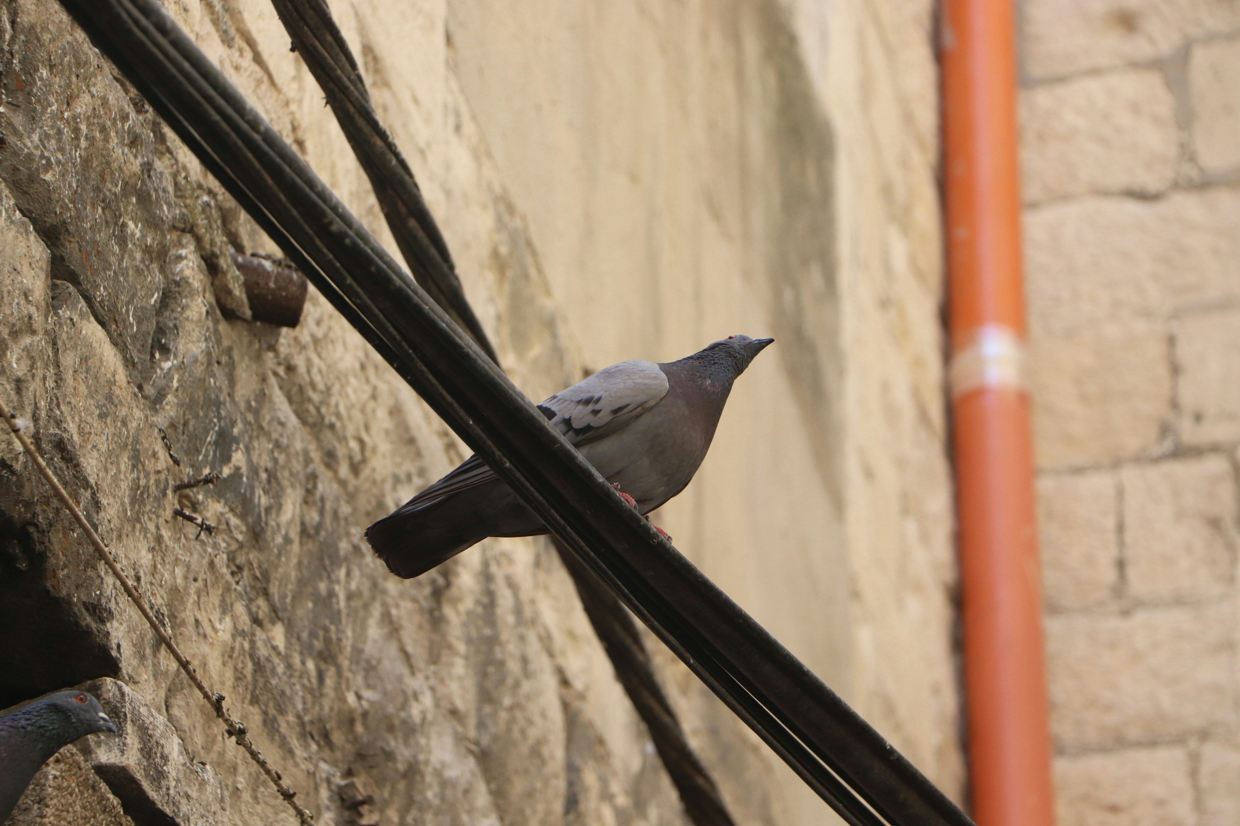 Photo by vision_photography