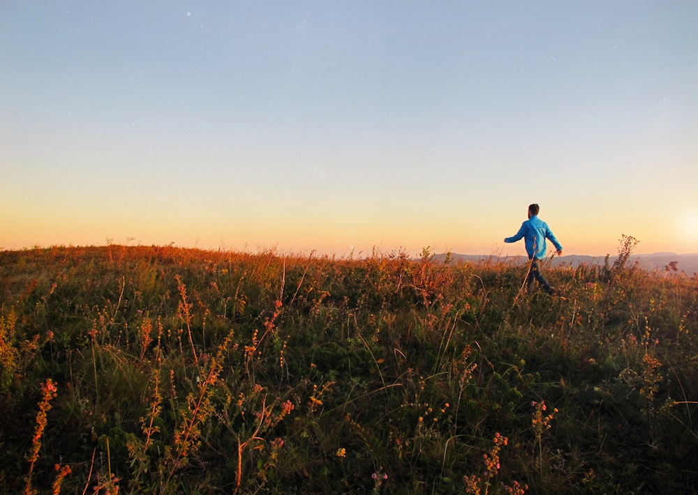 a person walking through a field of flowers