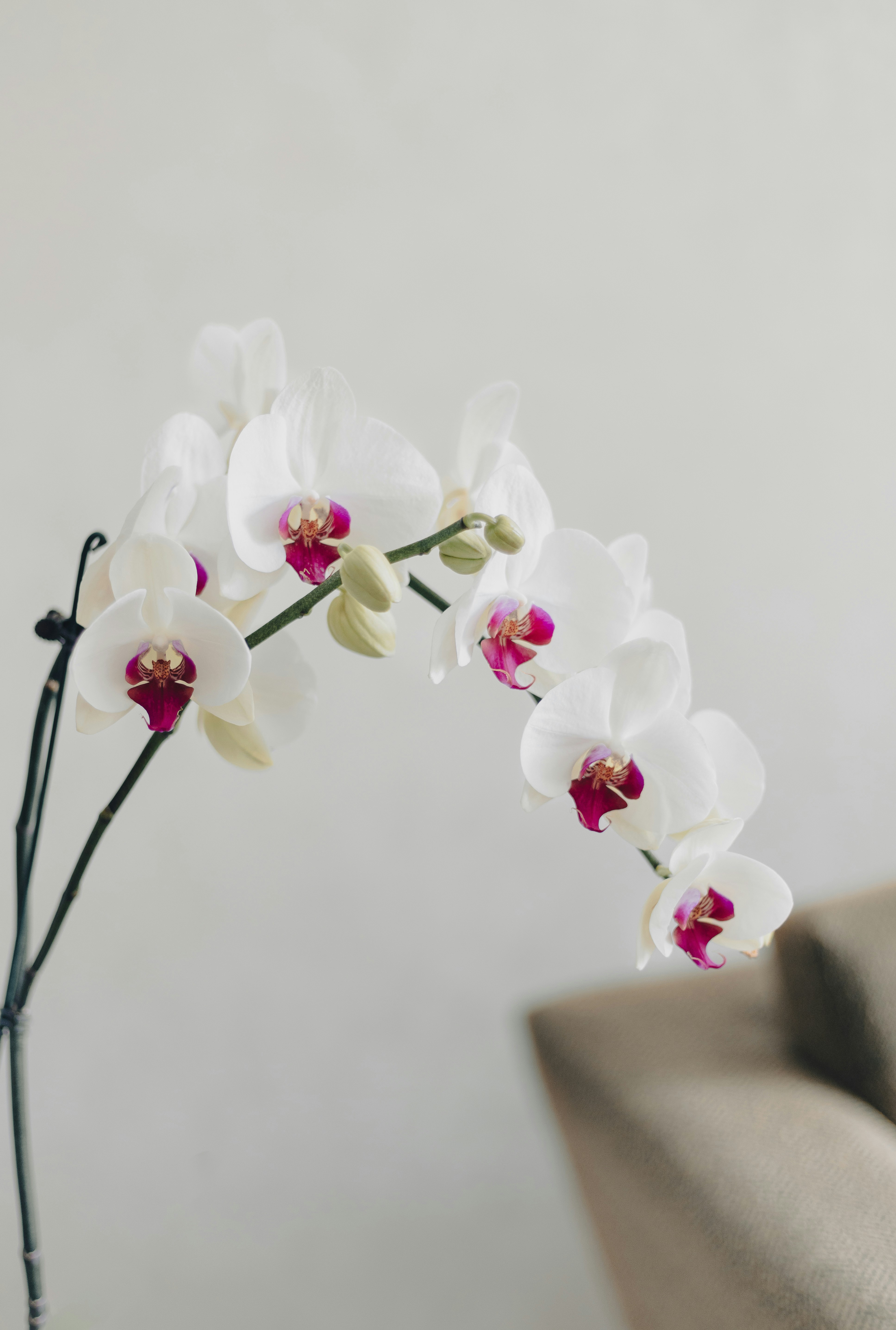 Photo by behy_studio