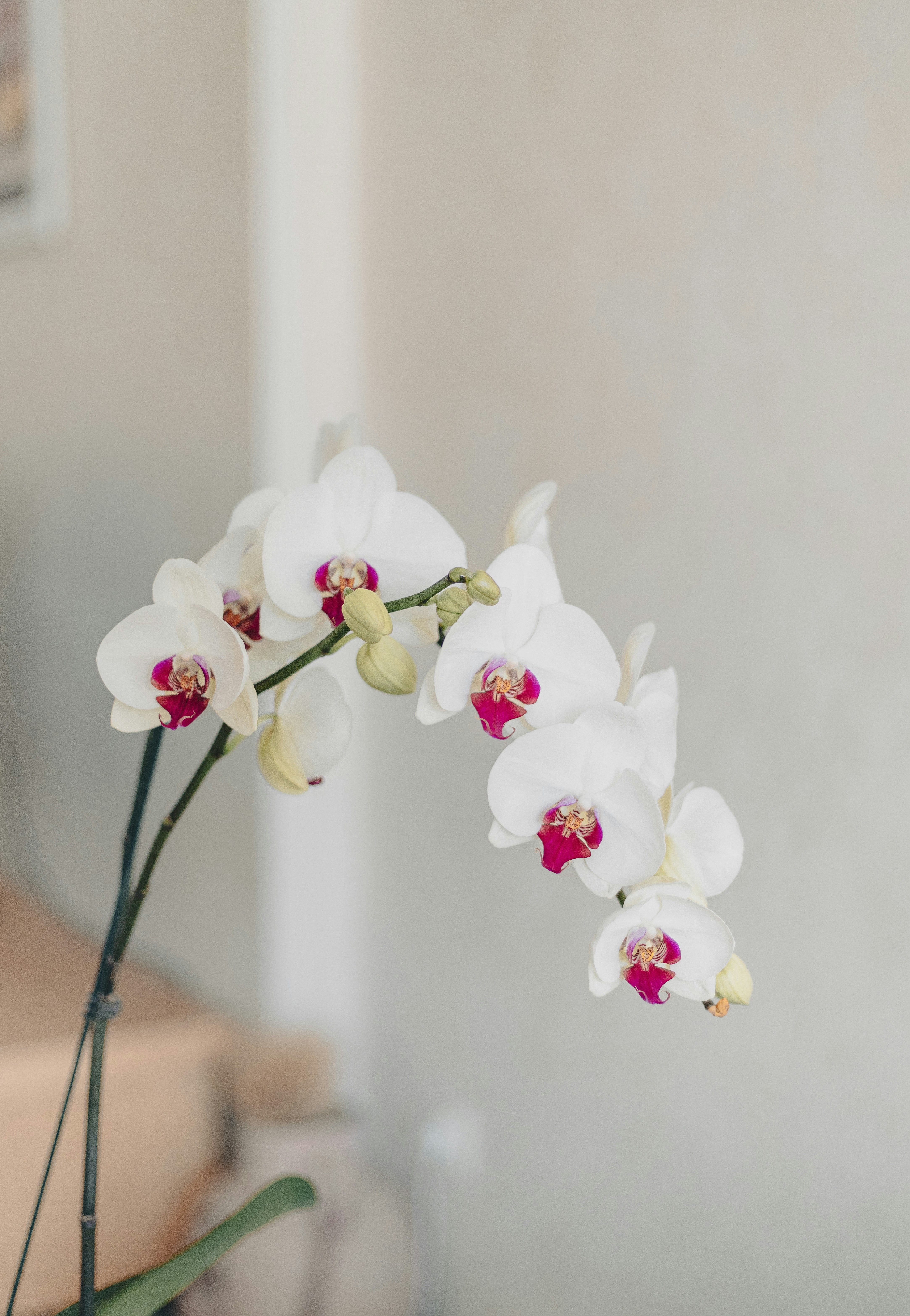 Photo by behy_studio