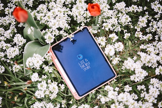 a cell phone on a bush