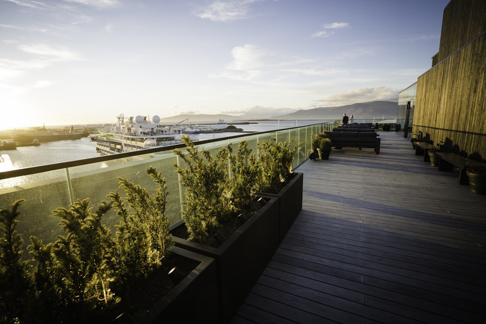 a deck with plants and a body of water in the background