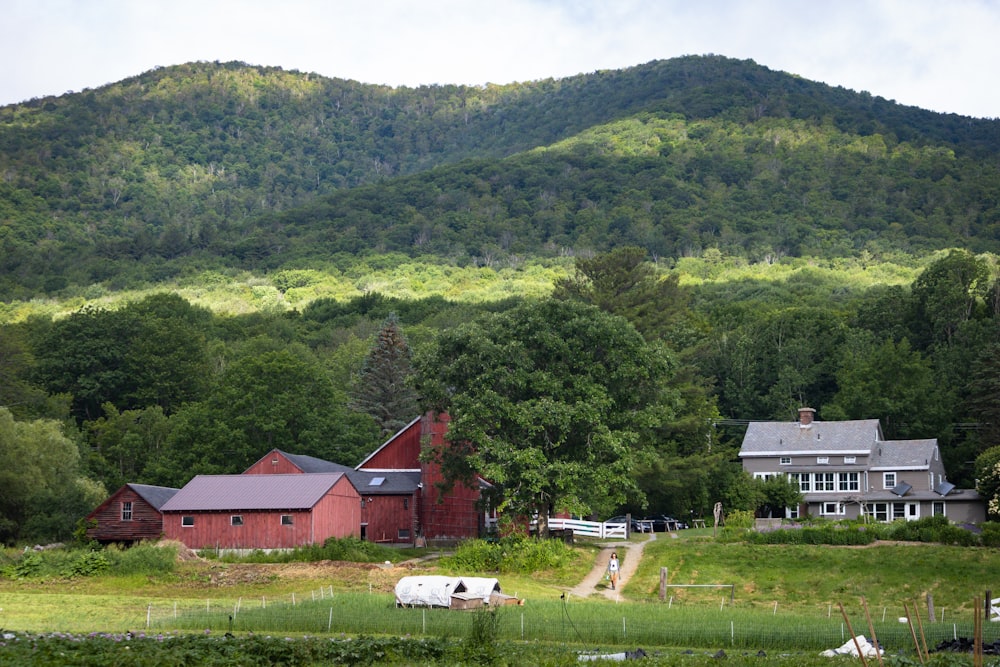 a farm with a few buildings