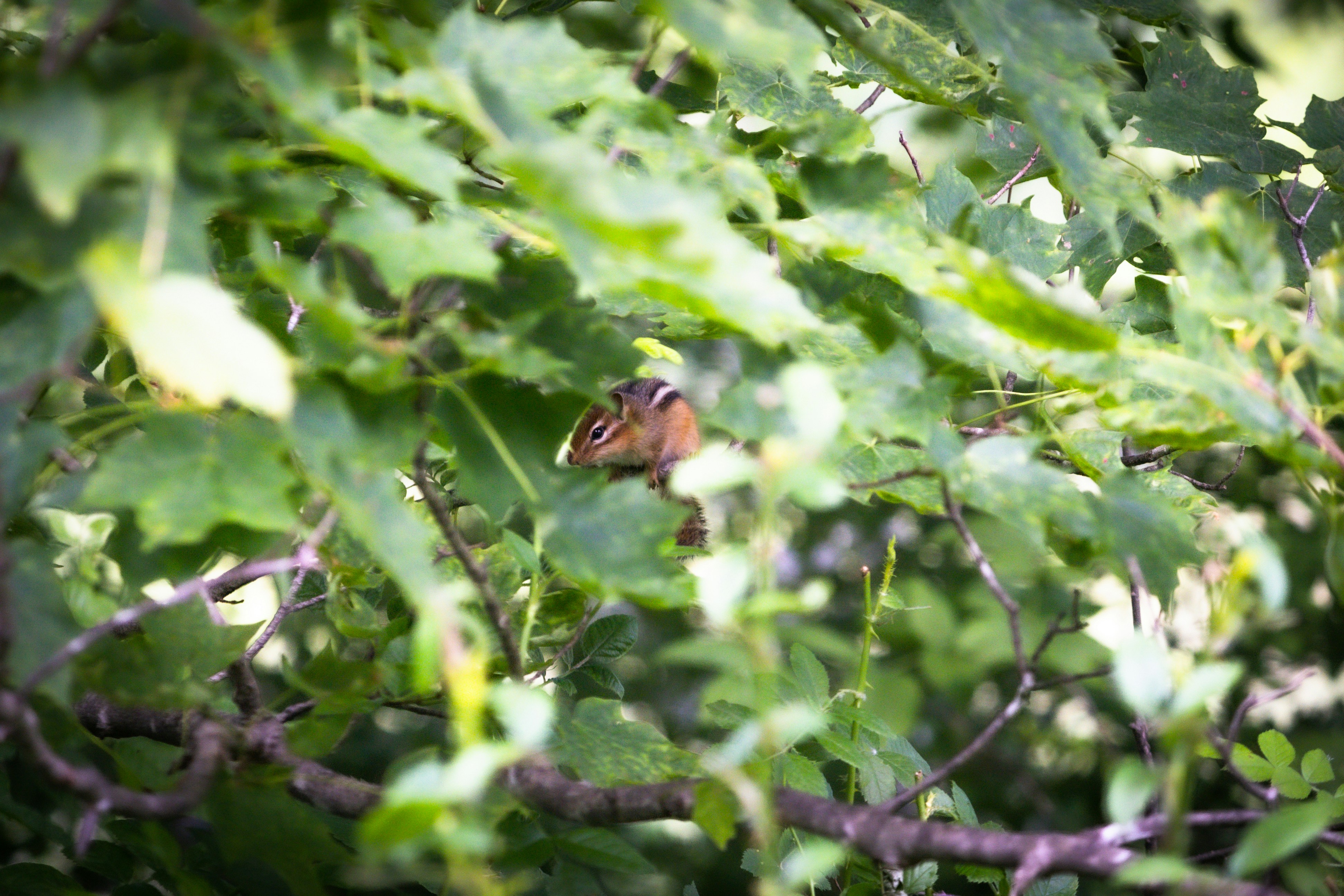 Photo by bonniekdesign