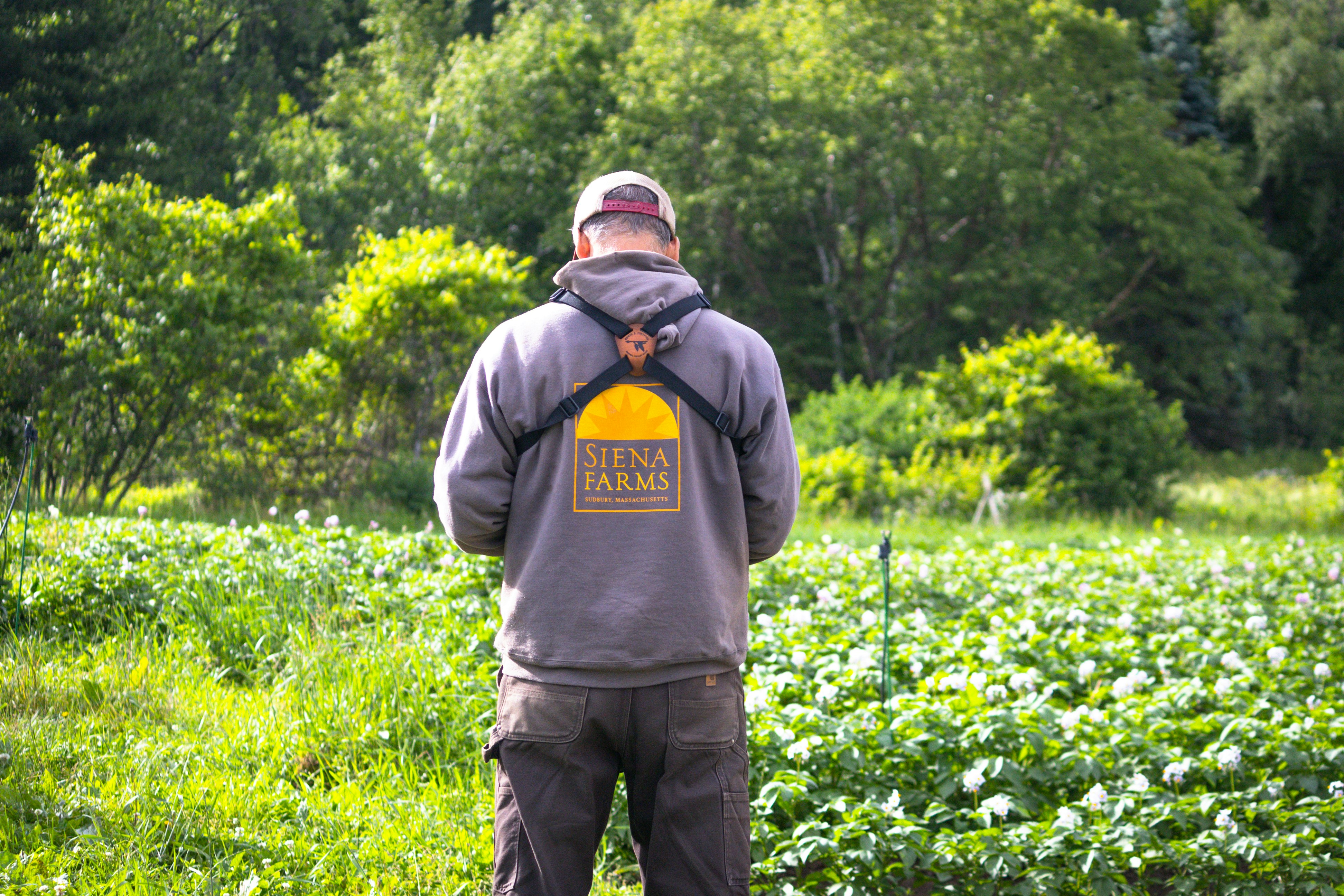 a man standing in a field of flowers