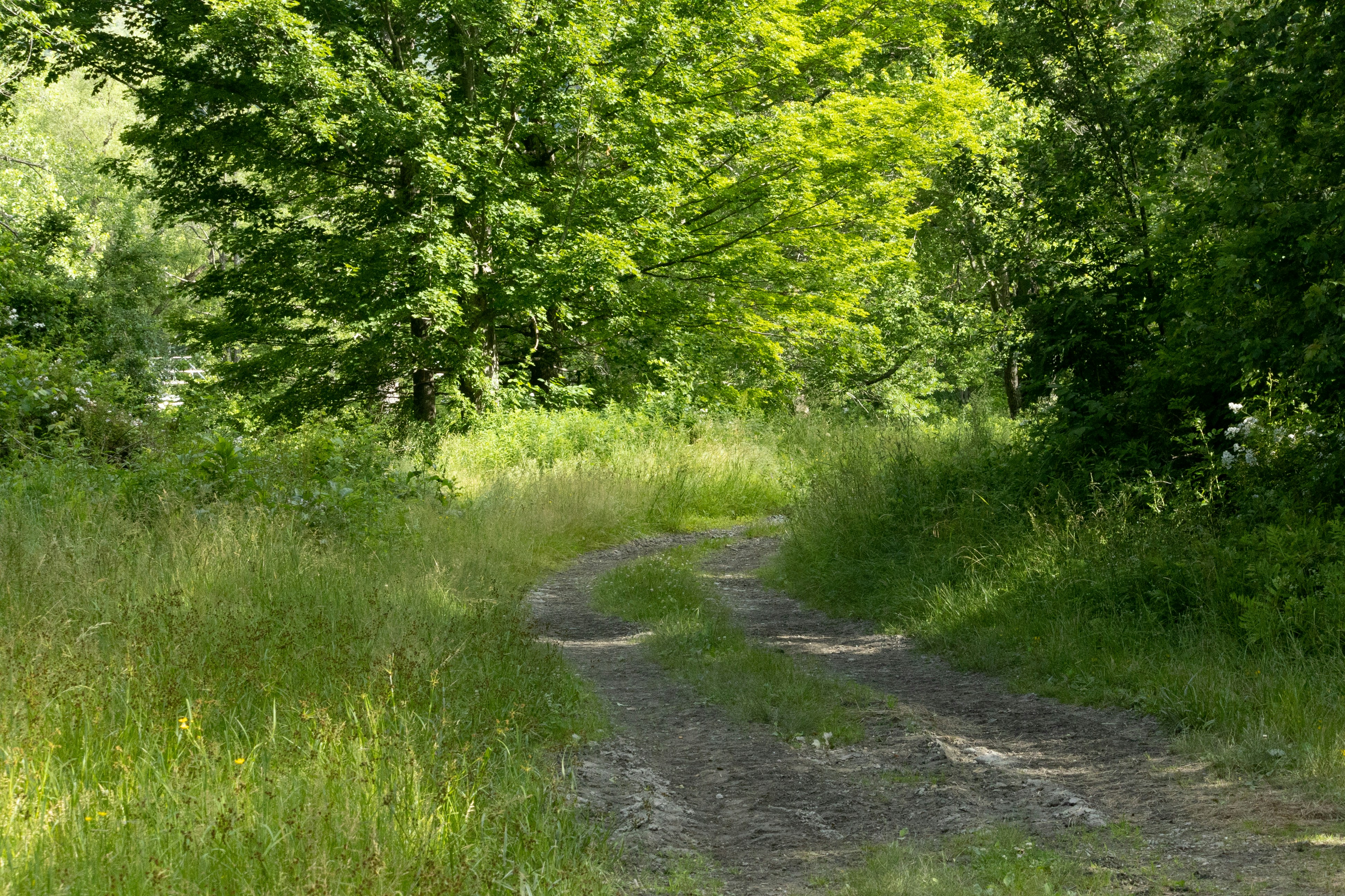 Photo by bonniekdesign