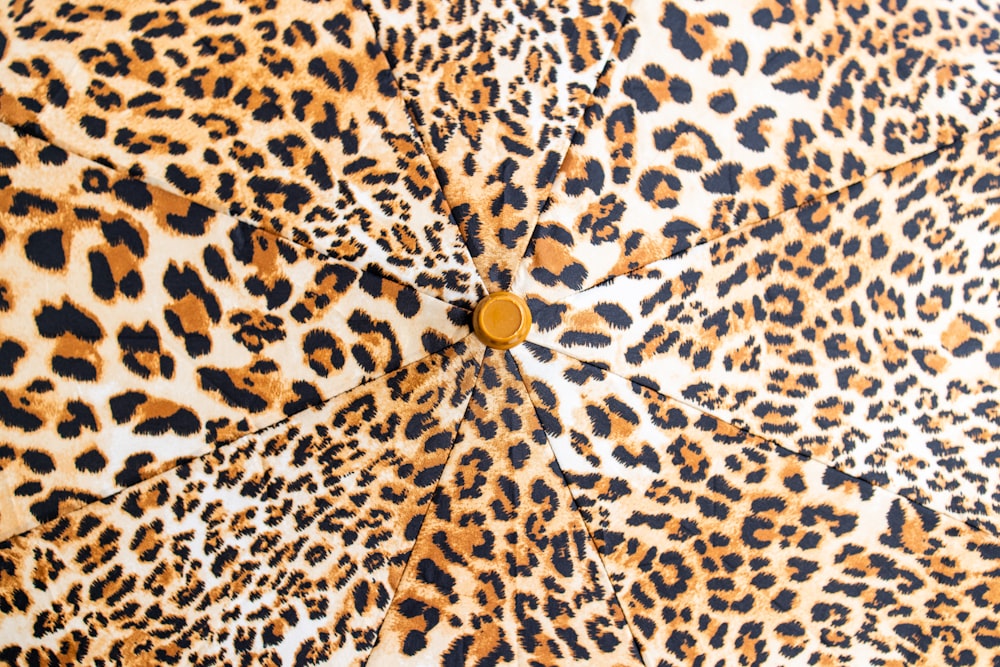 a small gold coin on a black and white spotted spotted spotted surface