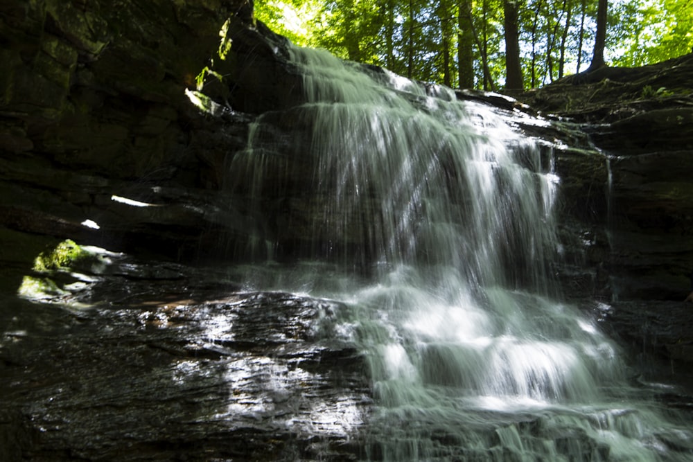 a waterfall in a forest