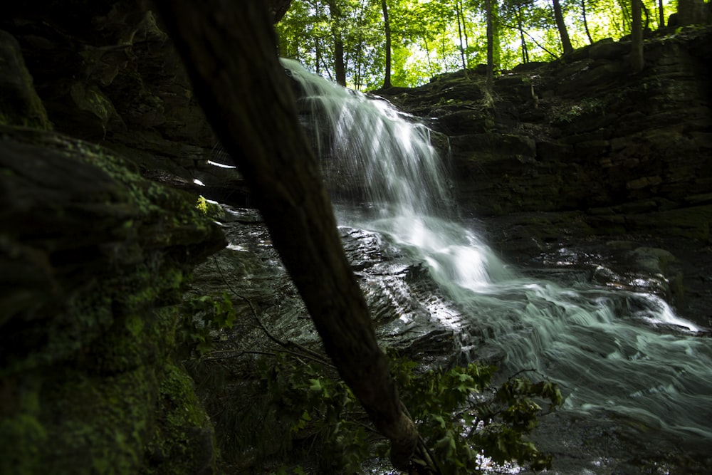 a waterfall in a forest