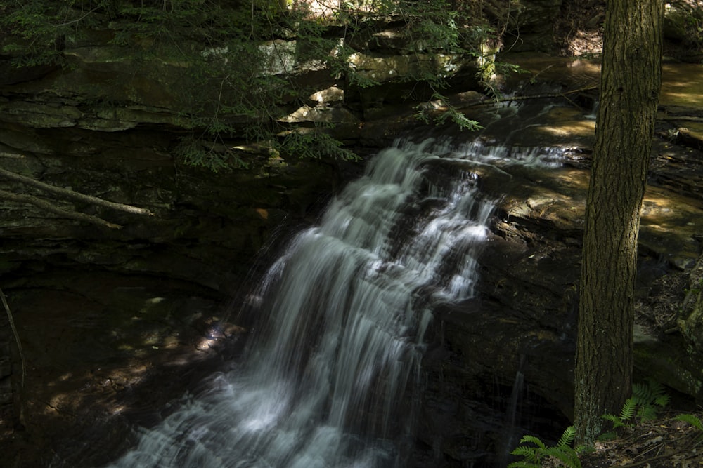 a waterfall in a forest