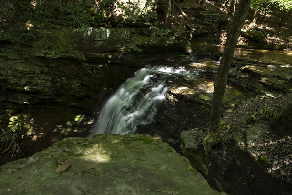 a waterfall in a forest