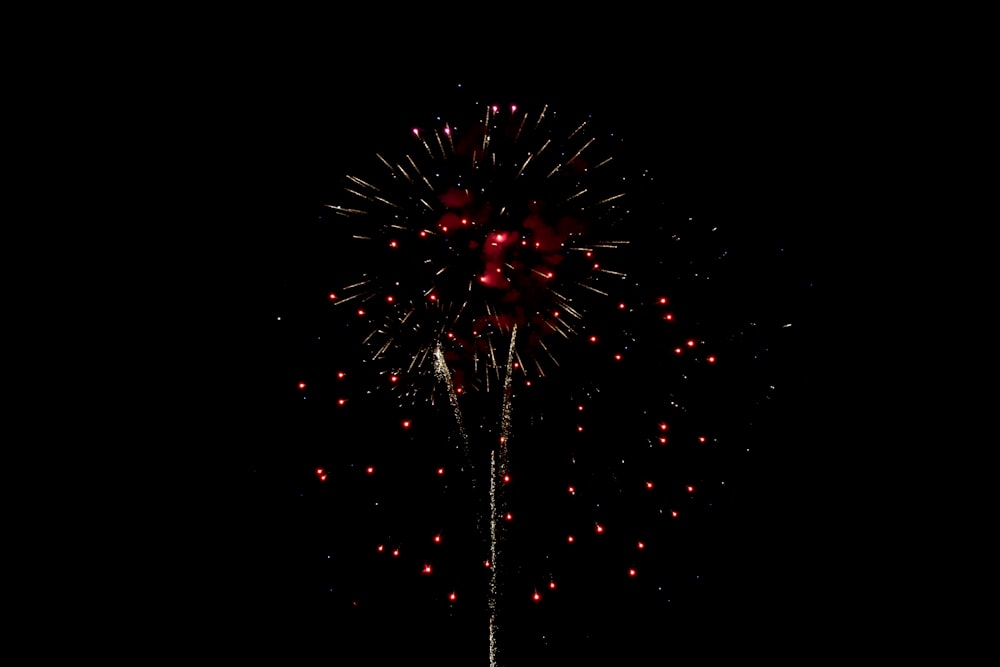 a firework in the sky