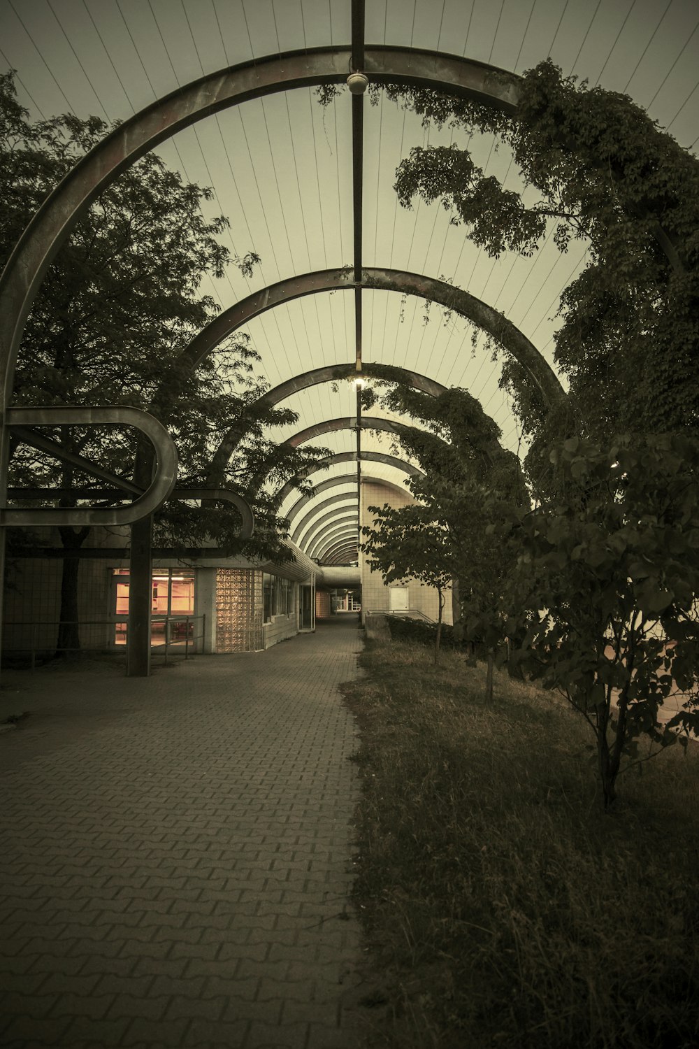 a walkway with trees and a building in the background