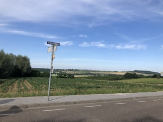 A rural landscape featuring a road with a sidewalk and a street sign indicating 'Vijlenberg'. The background includes a vast expanse of fields, trees, and a distant view of rolling hills under a partly cloudy blue sky.